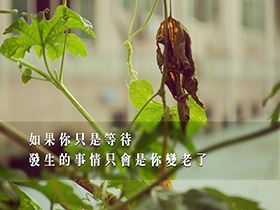 鉴赏诗歌的表达技巧（精选4篇）