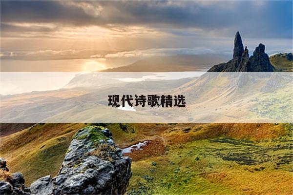高中语文《将进酒》教案设计